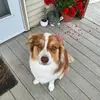 melissamccarrick7 - @melissamccarrick7 - TikTok