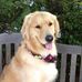 Melissa Casady - Facebook