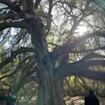 Melissa Casady - @mrscasady - Instagram