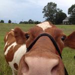 Melissa Casler - @exnyer2005 - Instagram