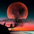 Melissa Chambliss - Facebook