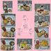 Melissa Chao - Facebook