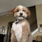 Melissa Cheney - @micaebay - Instagram