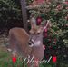 Melissa Chestnut - Facebook