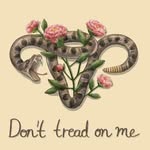 Melissa Chilson-Tudor - @somefunnstuff - Instagram