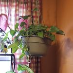 melissa clawson - @clawson4151 - Instagram