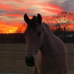 Melissa Ann Cloud - @melissacloud3678 - Instagram