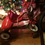 Melissa Clouse - @melissa.clouse.50 - Instagram