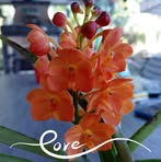 Missy Colbath - Facebook