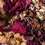 Melissa Colosimo - @husk_apothecary - Instagram