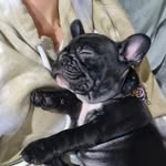 Melissa Colson - @pearl_boswellssister - Instagram