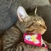 Melissa Compean - Facebook