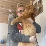 Melissa Crawford Maine Coons - @melissa_crawford_maine_coons - Instagram