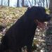 Melissa Cordon-Keller - Facebook