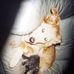 Melissa Craddock - Facebook