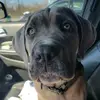 Melissa Gutierrez - @melissacristwellg - TikTok