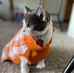 Melissa Crone - Facebook