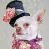 Melissa Crone Carvel - @user015552919 - TikTok