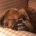 Melissa Jaynes Crone - Facebook