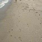 Melissa Crowder - @hophappymel - Instagram