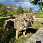 Melissa Lewis Crowder - @thefrenchballer - Instagram