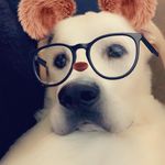 Melissa Culbreth - @culbrethp33 - Instagram