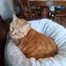 Melissa Cundiff - Facebook