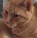 Melissa Cundiff - Facebook