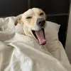 Melissa_daily - @melissa_daily - TikTok