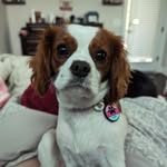 Melissa Merritt-Darden - @merritt.darden - Instagram