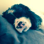 Melissa Darnell & Izzie Baby - @missi2015 - Instagram