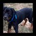 Melissa Darst - Facebook