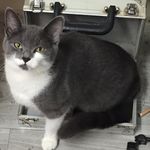 Melissa Davey - @melissadavey65 - Instagram