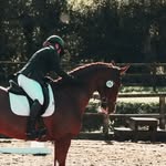 Melissa Dawes - @melissa.dawes.1650 - Instagram