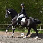 Melissa Dawes Dressage - @melissadawesdressage - Instagram