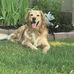 Melissa Bruchet DeGroot - Facebook