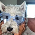 Melissa Denney - @mamadenney5 - Instagram