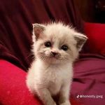 Melissa Di Gregorio - @di.gregorio.melissa - Instagram