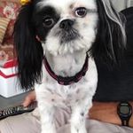 Melissa Dionne - @melissa.dionne.547 - Instagram
