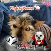 Melissa Dionne Lacey Rodriguez - @melissa.dionne.la - TikTok