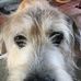 Melissa Dively - Facebook