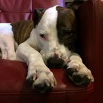 Melissa Dopp - @travmissy - Instagram