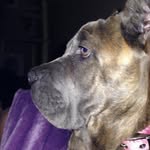 Missy - @melissadorris4 - Instagram