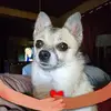 Melissa Drew - @melissa.drew5 - TikTok