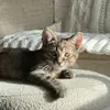 Melissa Dries - @melissad70 - TikTok