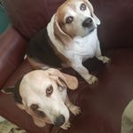 Melissa Drumheller - @melissa_drumheller - Instagram