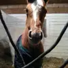 melissadunne480 - @melissadunne480 - TikTok