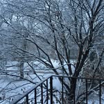 Melissa_Dycus - @mfp727 - Instagram
