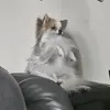 melissadycus88 - @melissadycus88 - TikTok