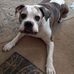 Melissa Eads - Facebook